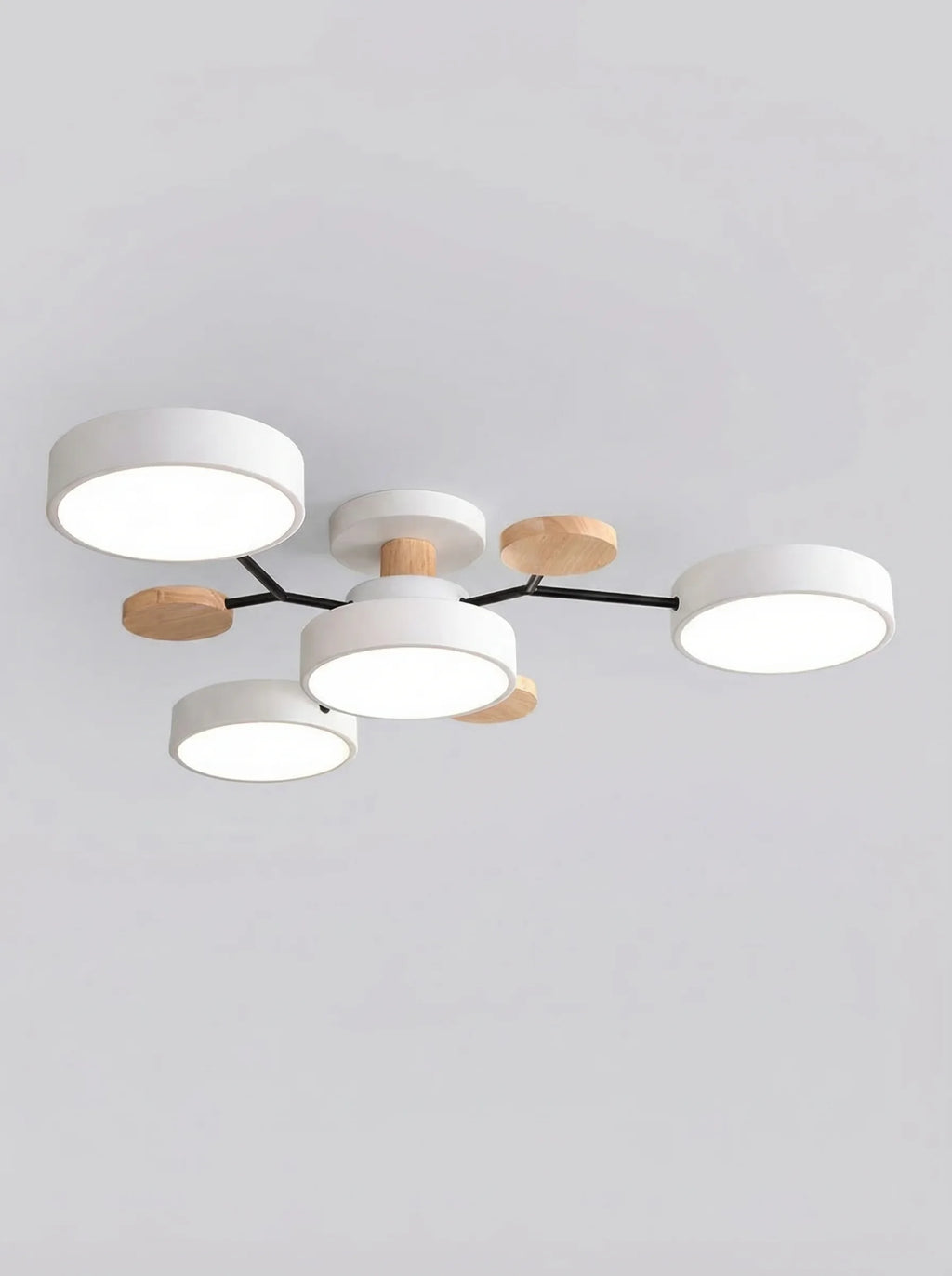 Lámpara De Techo LED Moderna Para Salón | Plafón Circular Moderno-Ceiling Light-SeemSeem