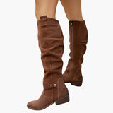 Botas Hasta La Rodilla Para Mujer | Ante