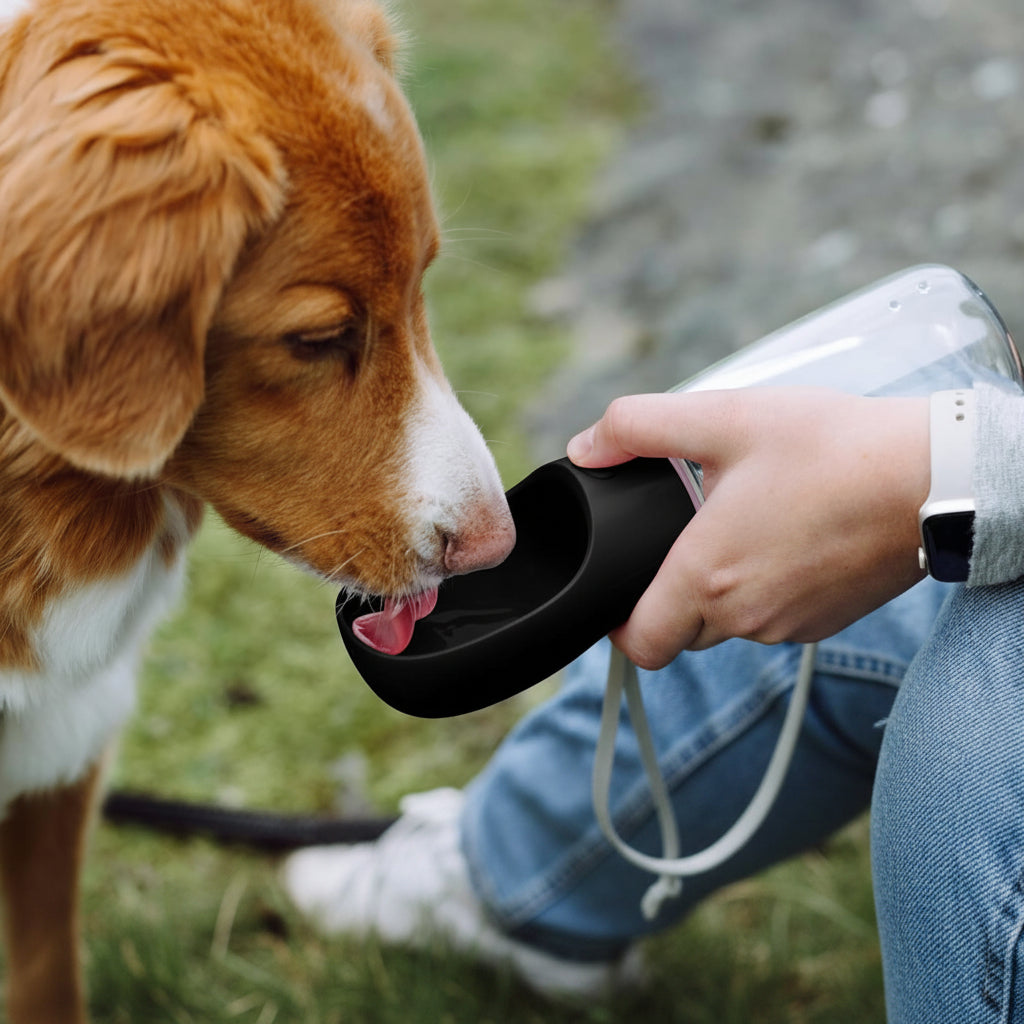 Botella De Agua Portátil Para Perros | Dispensador Integrado · SeemSeem