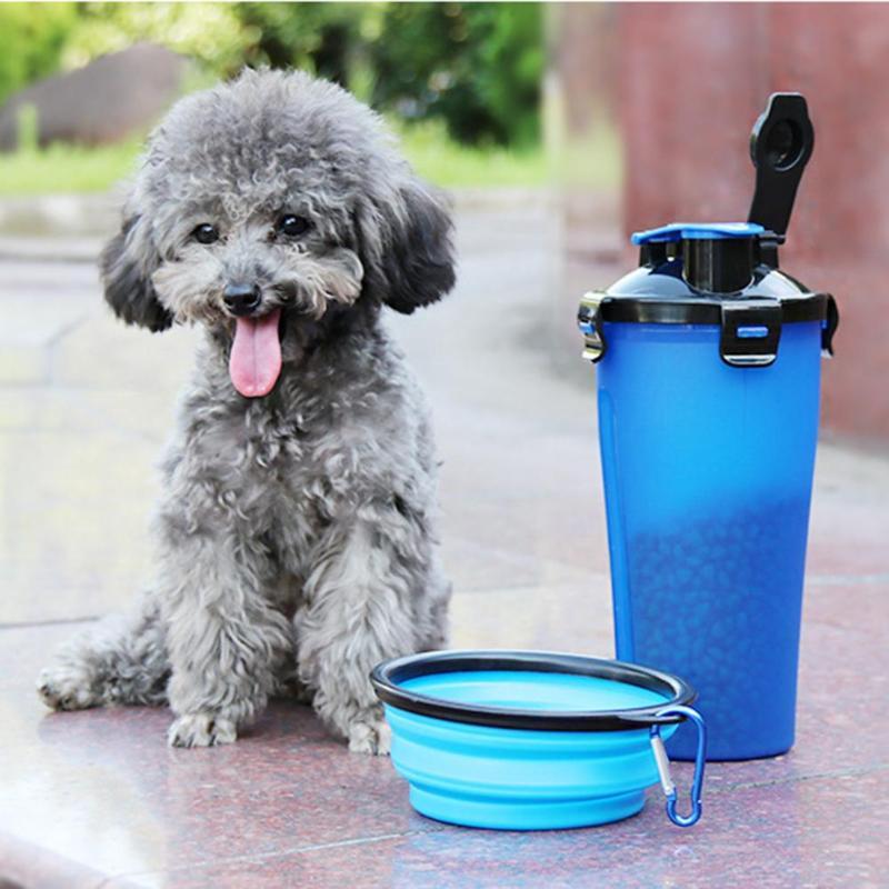 Botella De Viaje Para Perro 2 En 1 | Cuenco Plegable · SeemSeem
