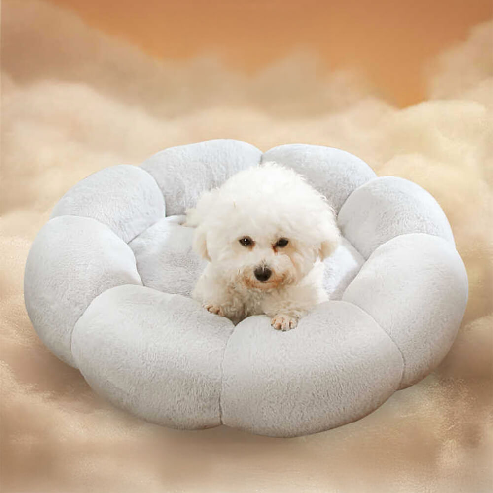 Cama Para Mascotas Redonda | Lavable · SeemSeem
