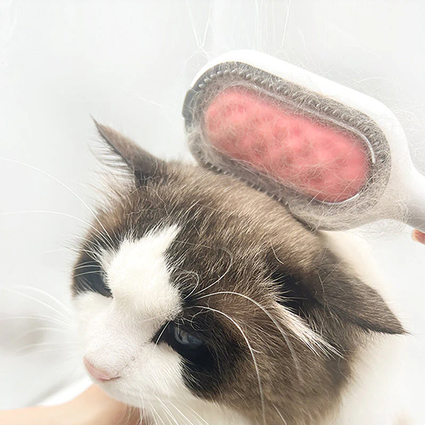 Cepillo Para Mascotas 2 En 1 | Elimina Nudos · SeemSeem